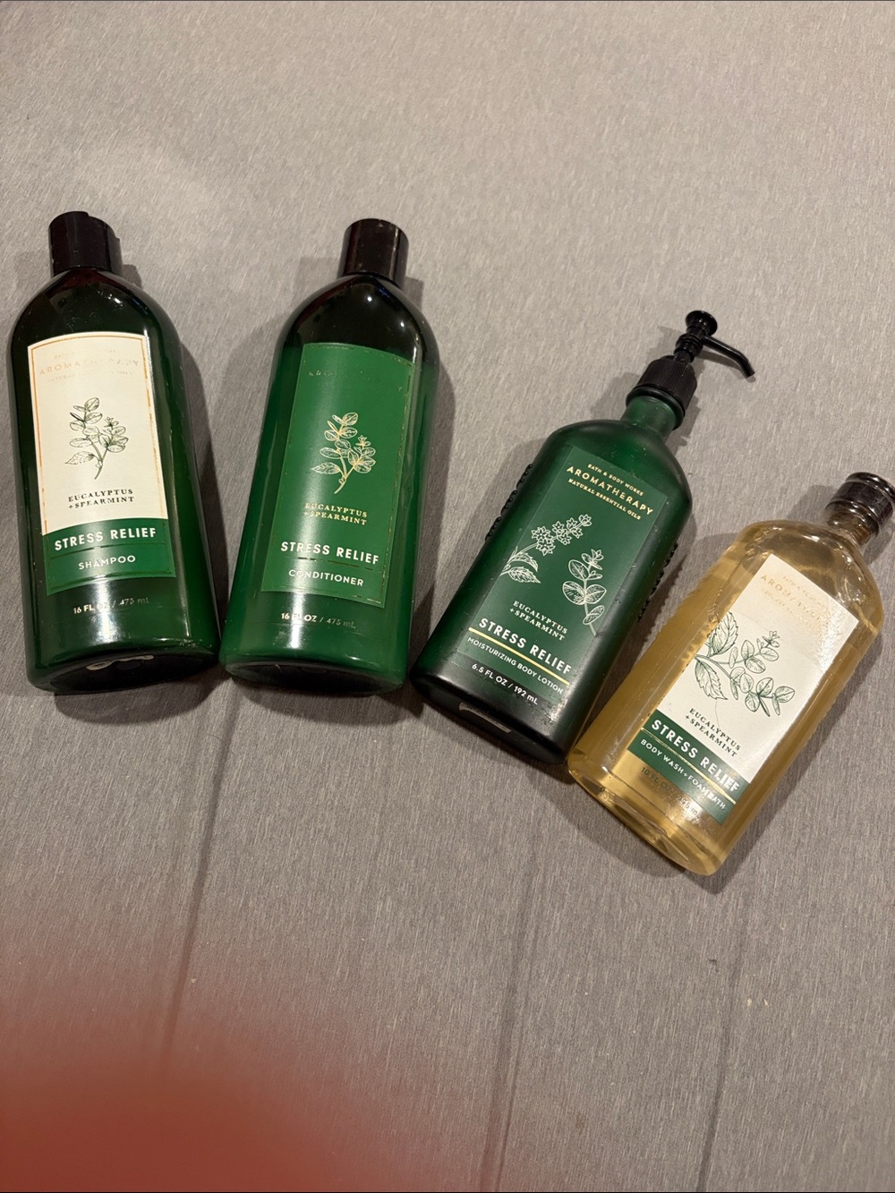 Bath & Body Works Stress Relief Eucalyptus Body Wash & Care Set